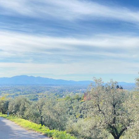 Leonardo Da Vinci - Appartamento Nel Verde Con Parcheggio E Wi-Fi Esterno foto