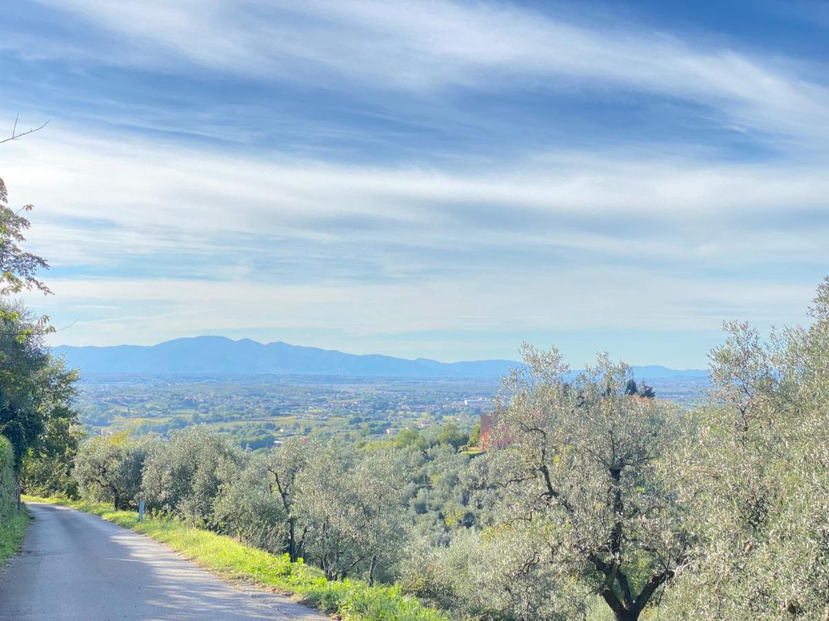 Leonardo Da Vinci - Appartamento Nel Verde Con Parcheggio E Wi-Fi Esterno foto
